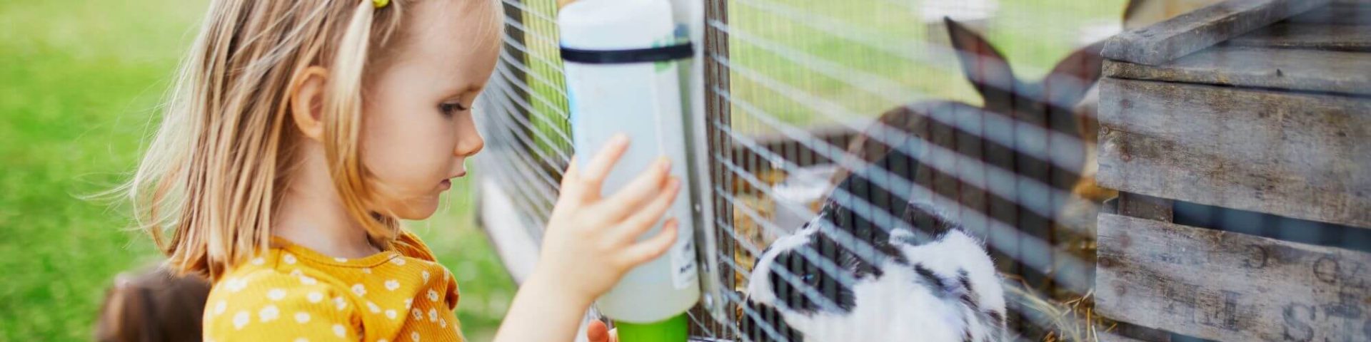 Kind fuettert Kaninchen