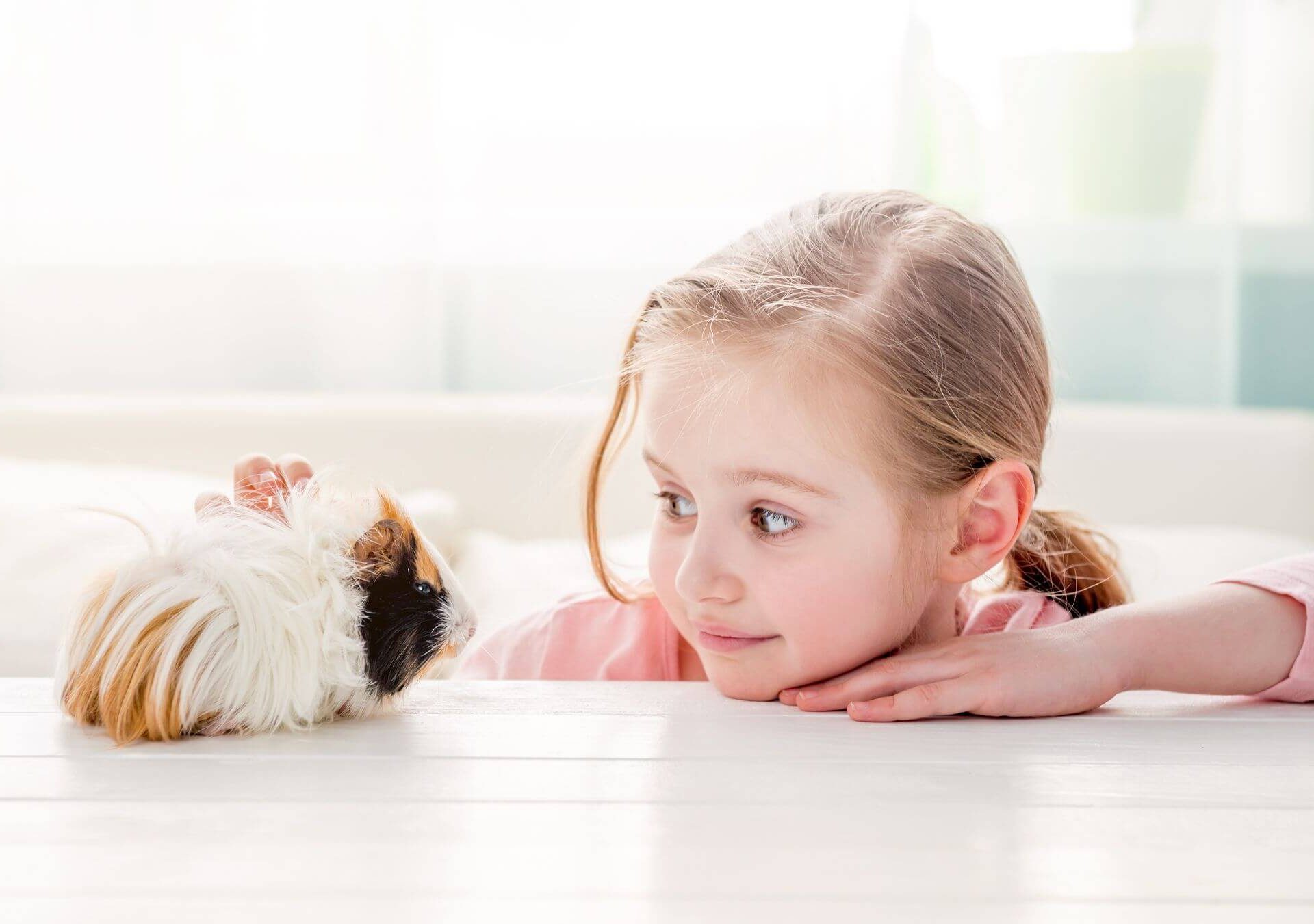 Kind mit Meerschweinchen