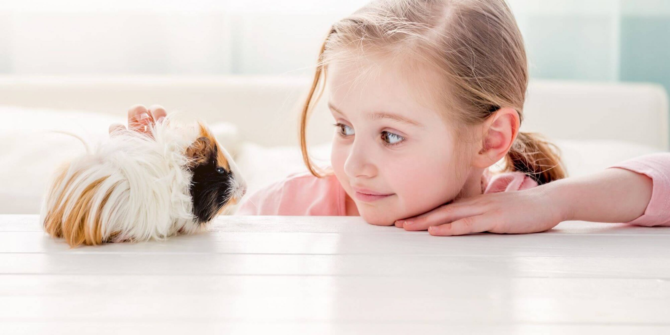 Kind mit Meerschweinchen